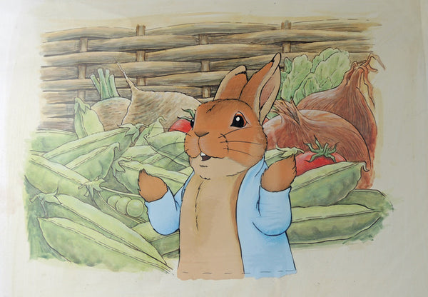 Peter Rabbit Pulse Gallery