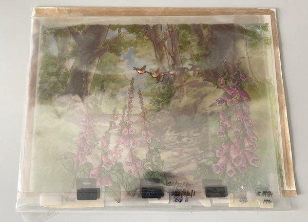 Peter Rabbit - Robins