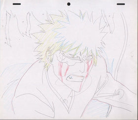 BLEACH - Ichigo