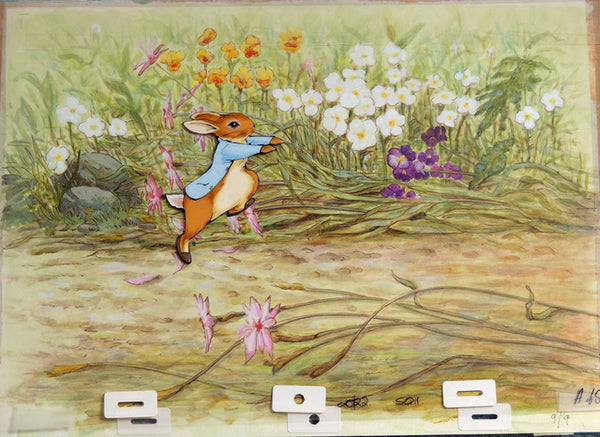 Peter Rabbit - Flowers
