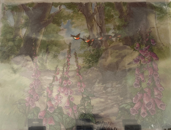 Peter Rabbit - Robins