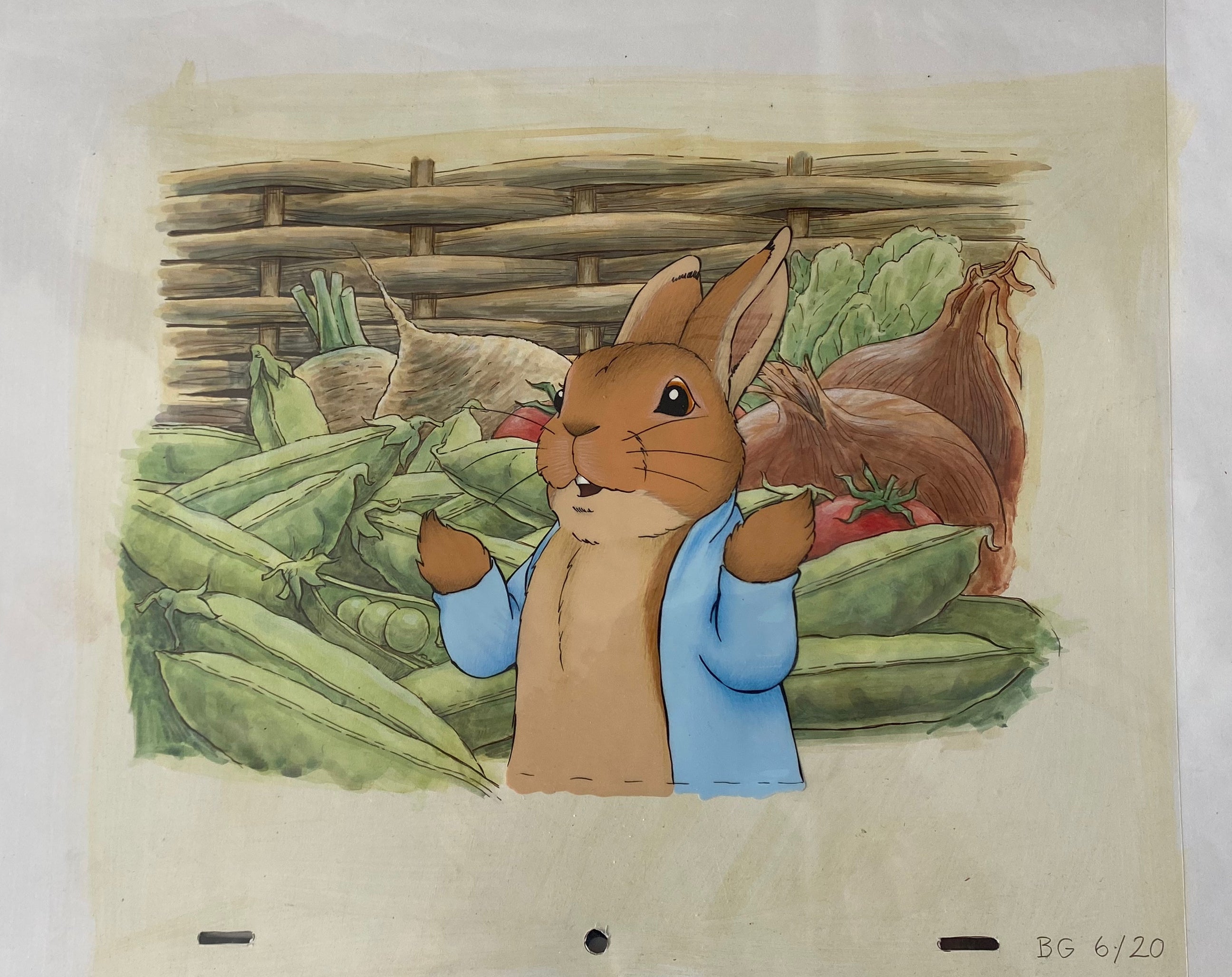 Peter Rabbit Pulse Gallery