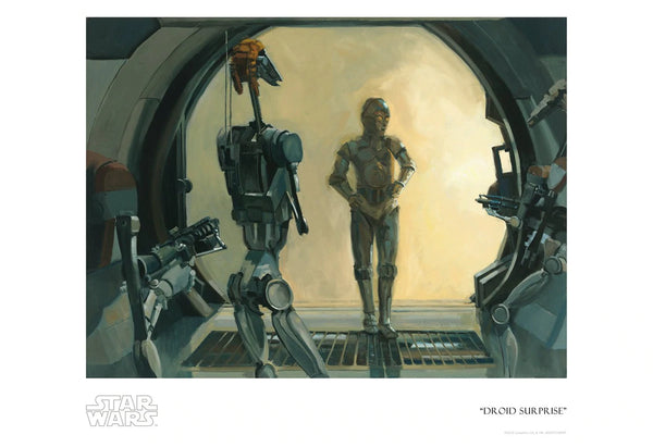 Droid Surprise