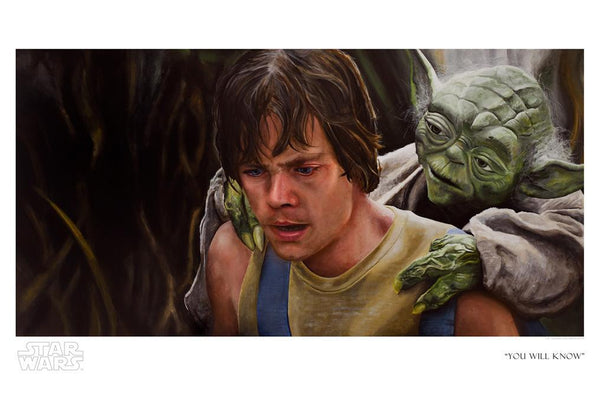 Yoda sitting on luke skywalker's back in the bog